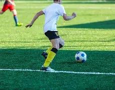 郑钦文迎战,斯瓦泰克,主场并非绝,赌博平台,赌博网站