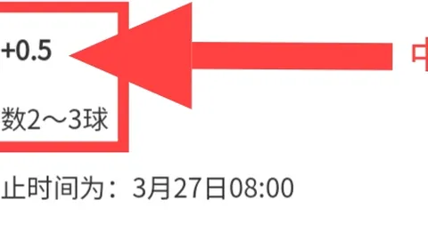 假期欢乐，加维携爱侣巴黎迪士尼共度时光定格美好