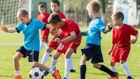 百星足球大乐透期号专家推荐：质合分析前区十码